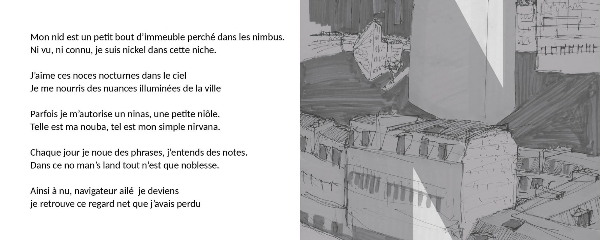 Pablo_Despeysses_En-panne-de-mots2