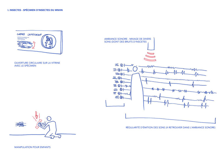 pablo-despeysses-du-et-ma-musicanimale-06