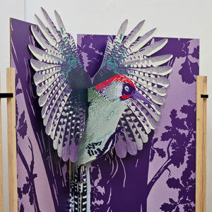 mini_0003_20240617_130211